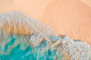 Atvirų Ląstelių Technologija