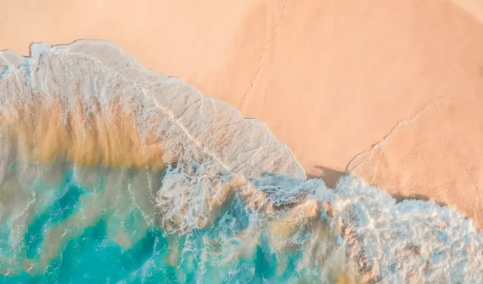 Atvirų Ląstelių Technologija