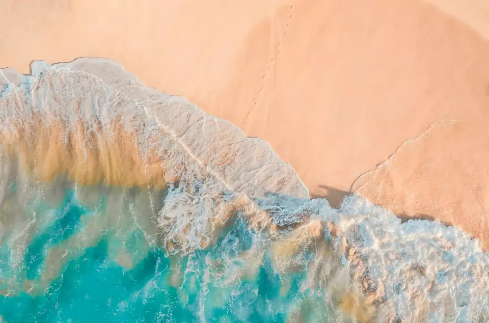 Atvirų Ląstelių Technologija